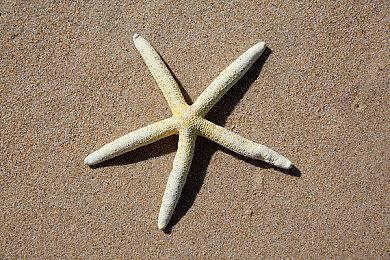 《崩坏：星穹铁道》黄泉角色PV——「你的颜色」